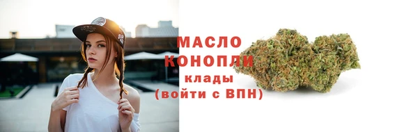 гидра Арсеньев