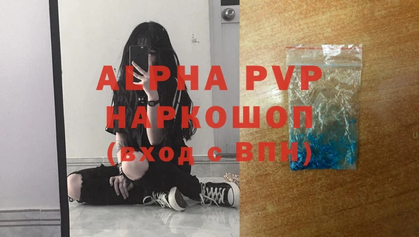 гидра Арсеньев