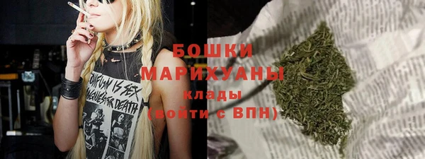 гидра Арсеньев