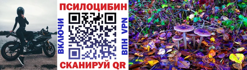 магазин продажи   Сухиничи  Псилоцибиновые грибы GOLDEN TEACHER 